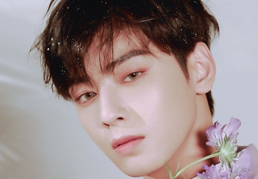 cha-eun-woo1