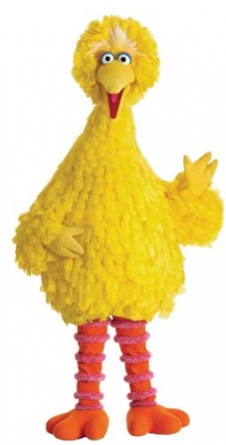 bigbird