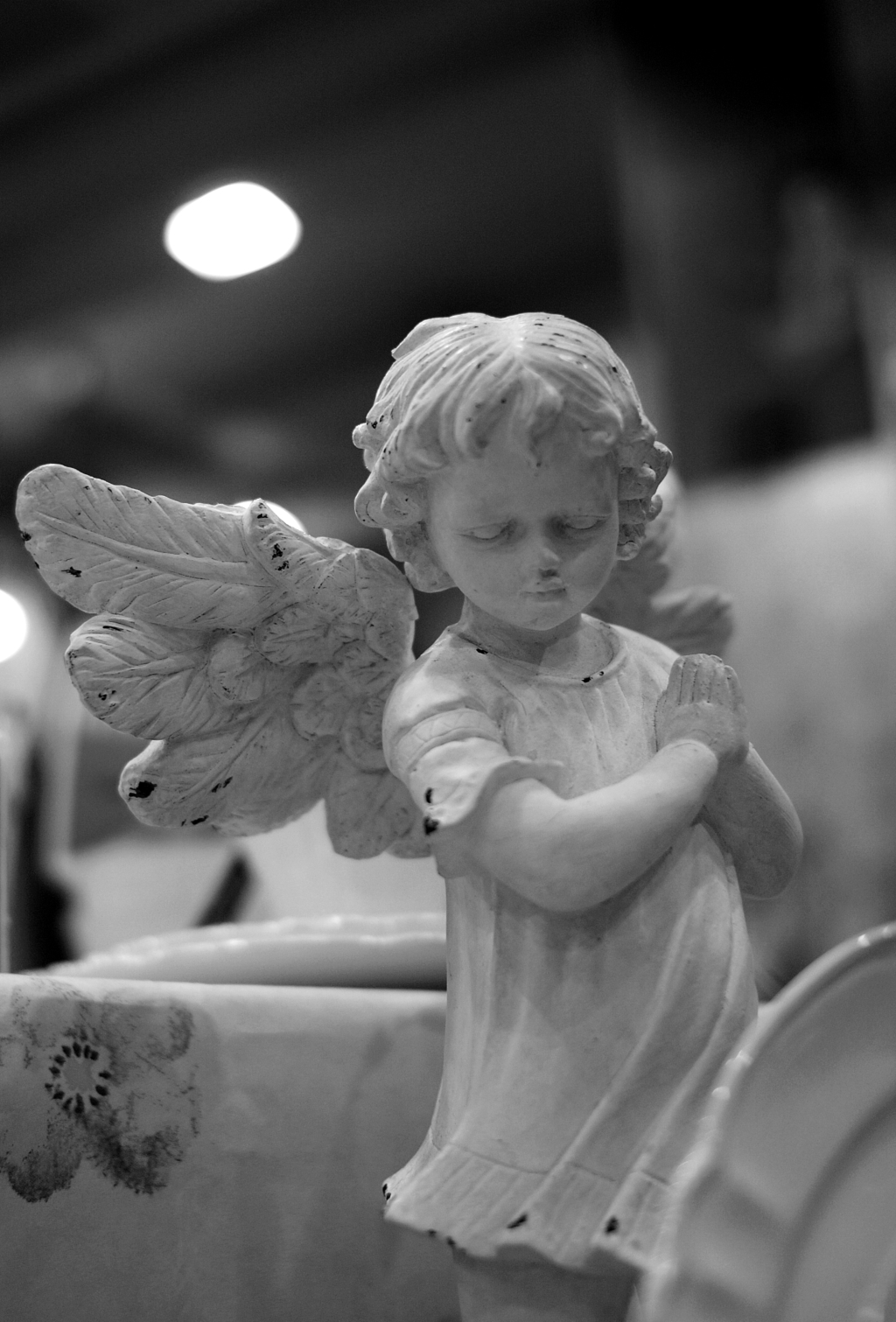 gallery20