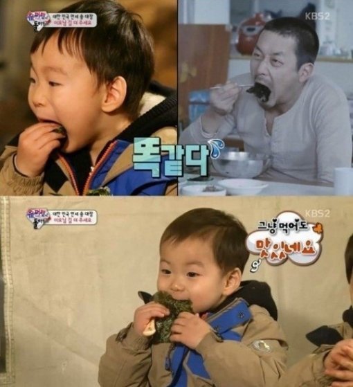 Triplets eat seaweed like Ha Jeong-woo